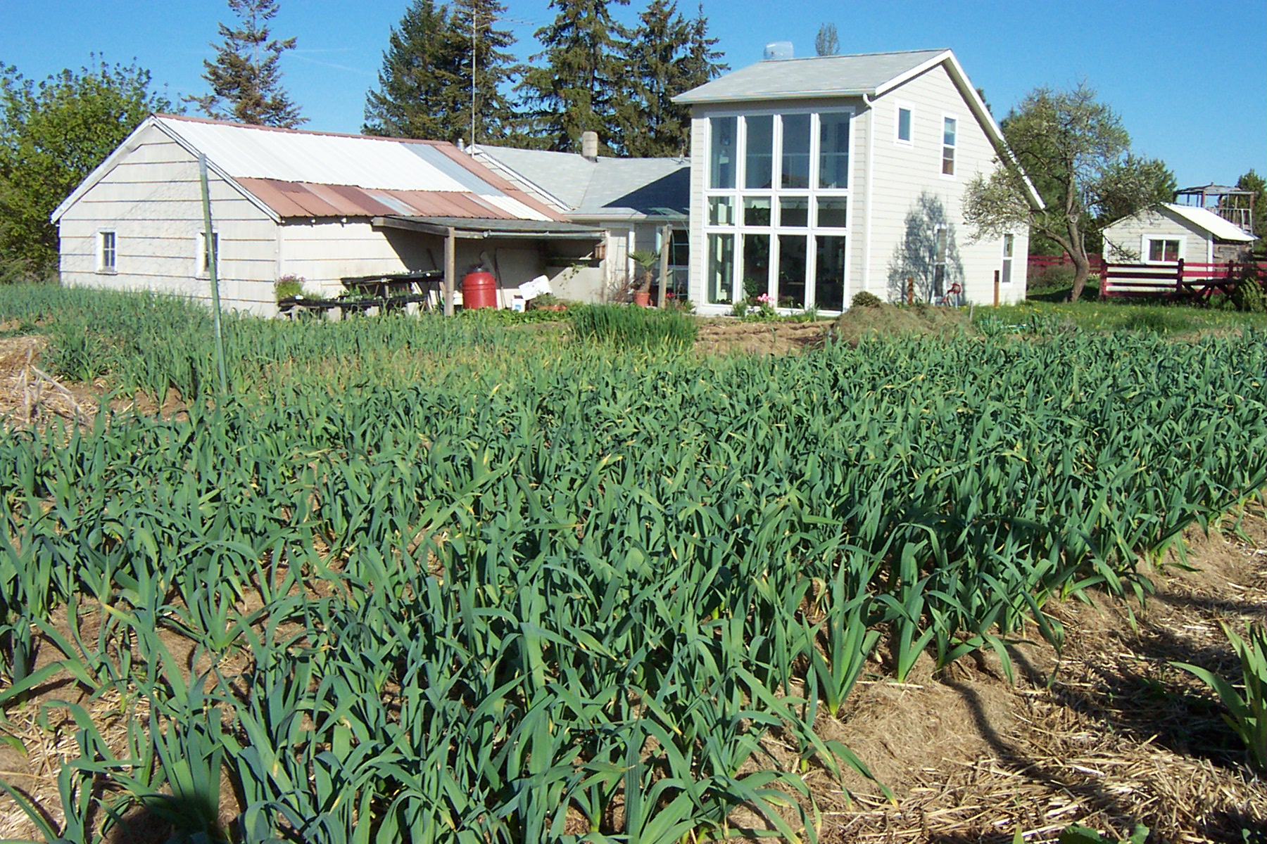 Living Soil Microfarms Small Scale Ecological Farming